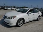 Corpus Christi, TX에서 판매 중인 2012 Lexus Es 350 - All Over