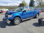 2013 Ford F150 Supercrew for Sale in Grantville, PA - Front End