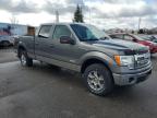 2014 Ford F150 Supercrew for Sale in Ham Lake, MN - Rear End