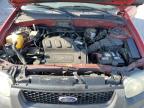 2002 Ford Escape Xls იყიდება Lebanon-ში, TN - Front End