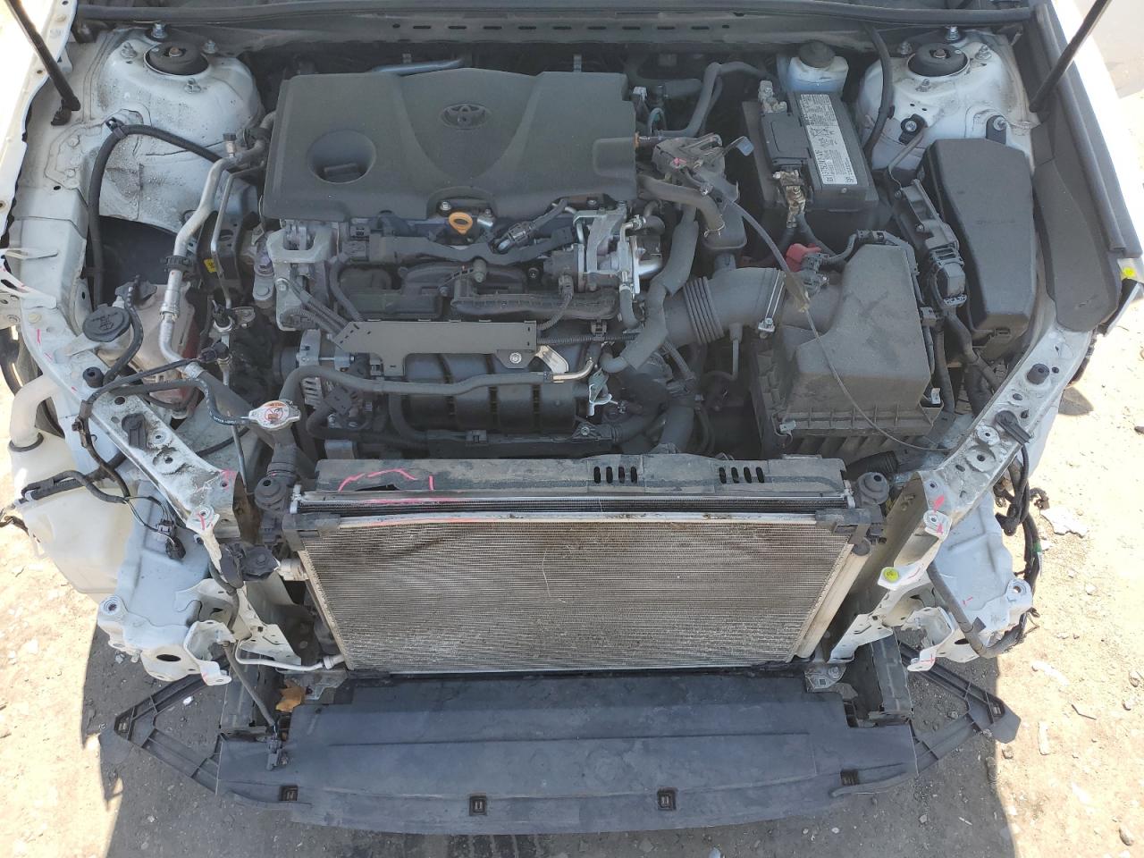 2020 Toyota Camry Le VIN: 4T1C11AK0LU384936 Lot: 54366655