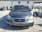 2010 Honda Odyssey Exl na sprzedaż w Kansas City, KS - Minor Dent/Scratches