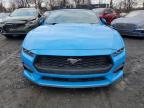 2024 Ford Mustang  للبيع في Marlboro، NY - Water/Flood