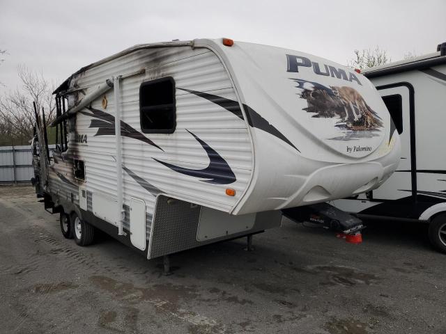 2010 Puma Palomino M
