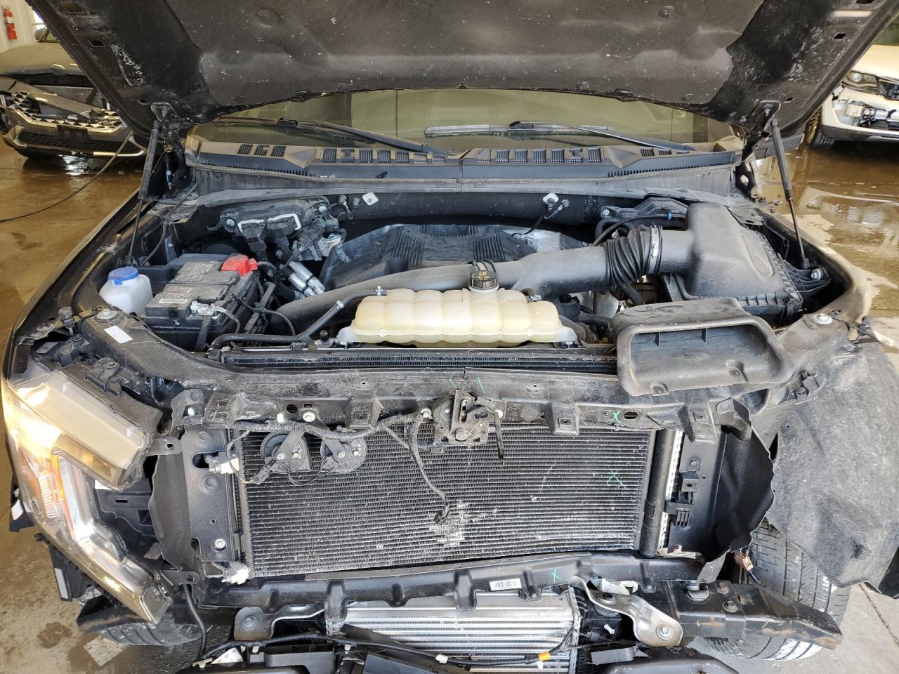 1FTEW1E49KFD11139 FORD F-150 2019