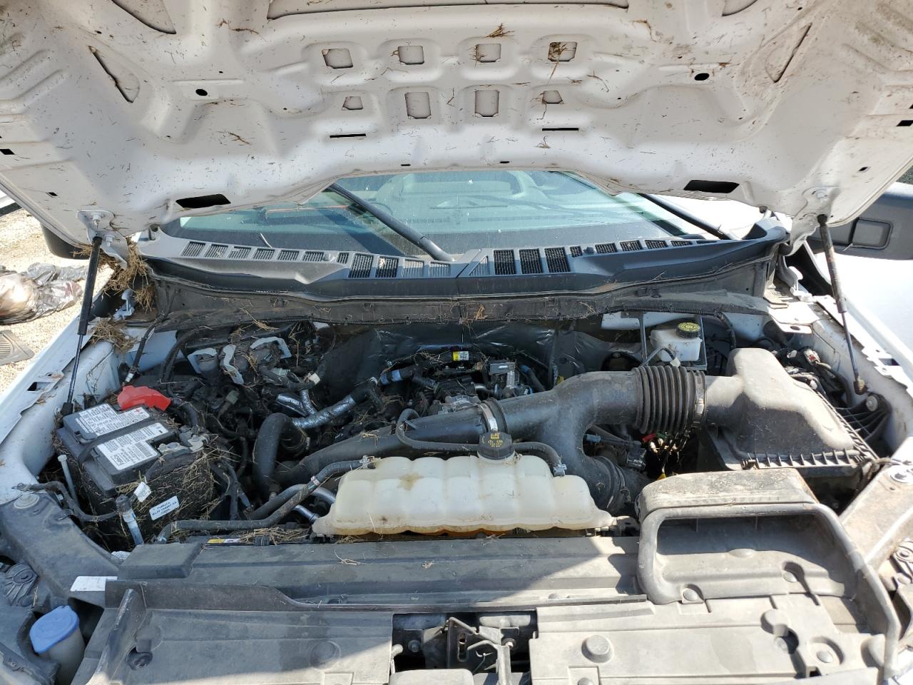 2023 Ford F150 Supercrew VIN: 1FTEW1CP7PKE83679 Lot: 54436475