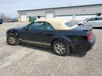 2007 Ford Mustang  for Sale in Leroy, NY - Front End