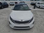 2014 Kia Optima Hybrid للبيع في Homestead، FL - Minor Dent/Scratches