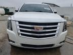 2017 Cadillac Escalade Esv Luxury for Sale in Louisville, KY - Hail
