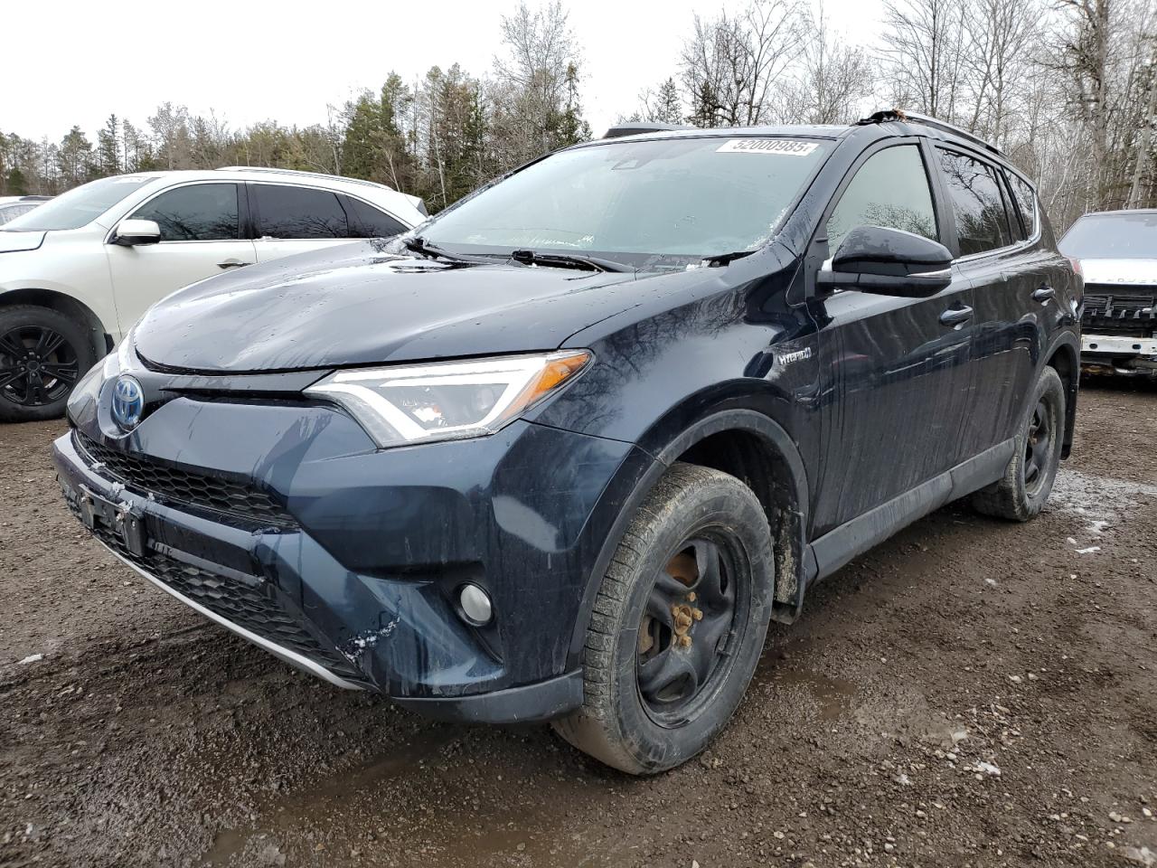 2018 Toyota Rav4 Hv Se for Sale in Cookstown, ON - Top/Roof