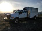 2013 Ford F650 Super Duty للبيع في Portland، MI - Front End