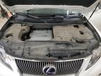 2011 Lexus Rx 450H продається в Ham Lake, MN - Front End