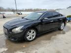 2014 Nissan Maxima S for Sale in Louisville, KY - Front End