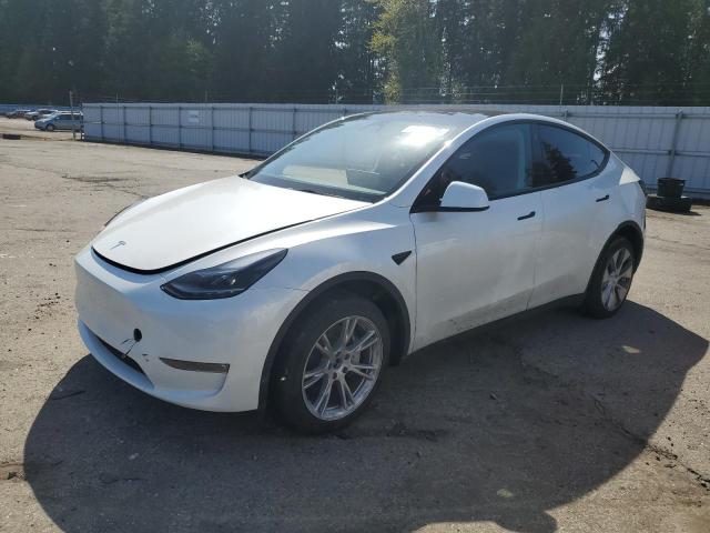  TESLA MODEL Y 2023 White