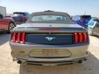 2019 Ford Mustang  للبيع في Haslet، TX - Hail
