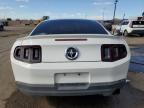 2010 Ford Mustang  იყიდება Albuquerque-ში, NM - Front End
