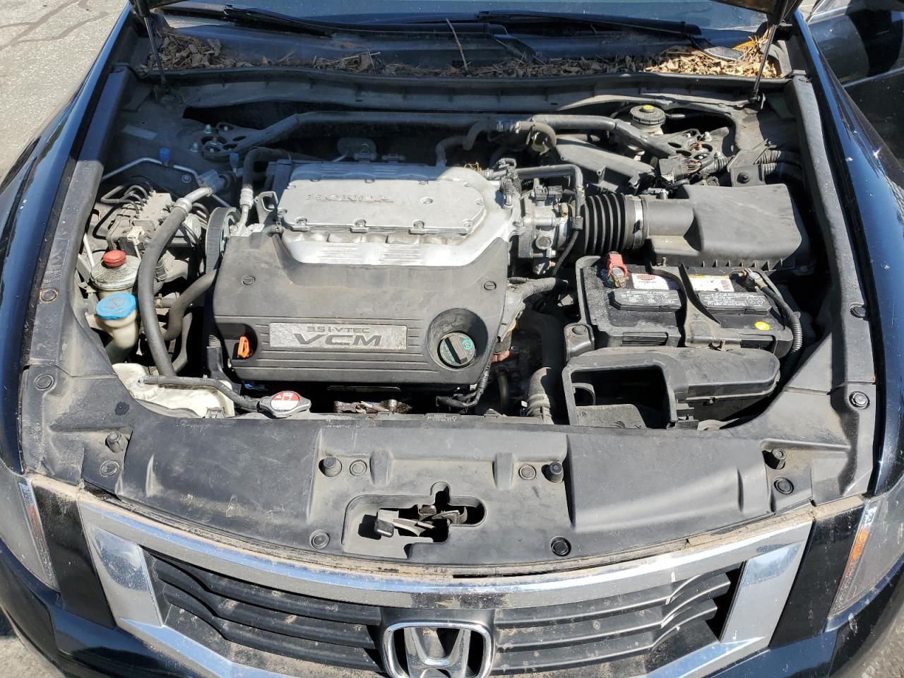 2009 Honda Accord Exl VIN: 1HGCP36829A029421 Lot: 53757765