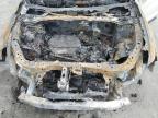2017 Acura Rdx Technology for Sale in Sun Valley, CA - Burn