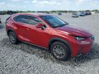 2020 Lexus Nx 300 Base for Sale in Arcadia, FL - Vandalism