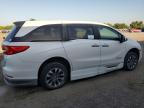 2023 Honda Odyssey Exl for Sale in Mercedes, TX - Water/Flood