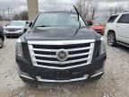 2015 Cadillac Escalade Esv Premium იყიდება Wayland-ში, MI - All Over
