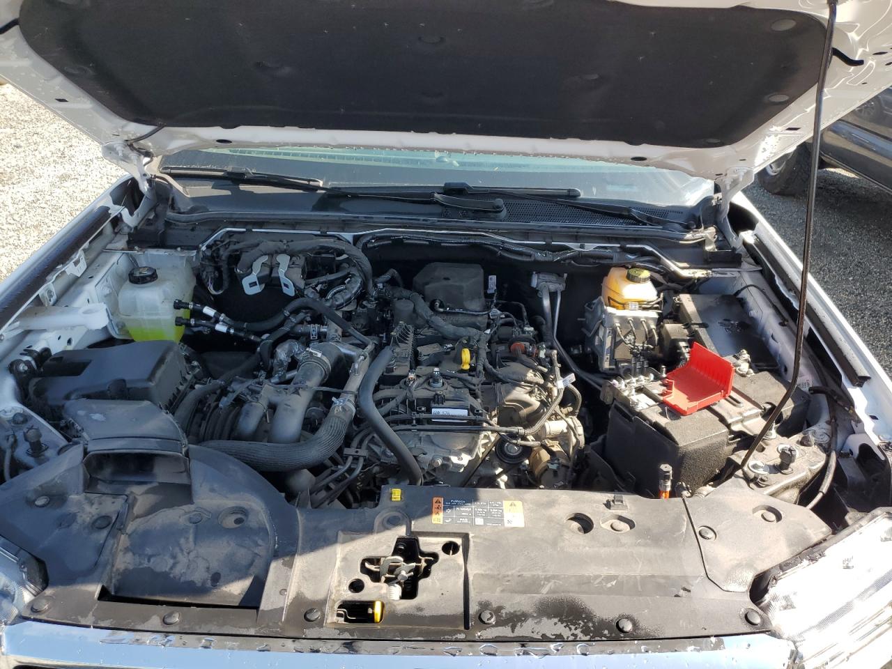 1FTER4KH6RLE01036 FORD RANGER LAR 2024