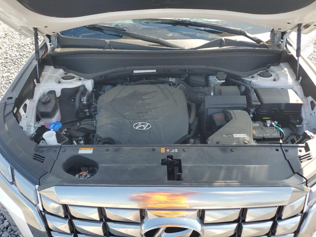 2024 Hyundai Palisade Calligraphy VIN: KM8R7DGE6RU656314 Lot: 54941455