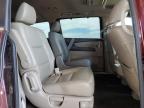 2016 Honda Odyssey Exl zu verkaufen in Phoenix, AZ - Front End