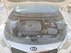 2015 Kia Forte Lx for Sale in Earlington, KY - Hail