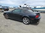 American Canyon, CA에서 판매 중인 2001 Ford Mustang Gt - All Over