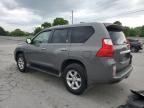 2010 Lexus Gx 460 for Sale in Lebanon, TN - Normal Wear