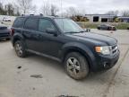 2012 Ford Escape Limited for Sale in Bridgeton, MO - Front End