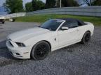 2013 Ford Mustang  for Sale in Gastonia, NC - Front End