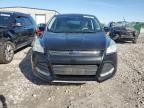 2015 Ford Escape Se for Sale in Cahokia Heights, IL - Hail
