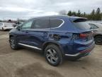 2021 Hyundai Santa Fe Sel продається в Bowmanville, ON - Front End