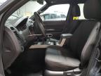 2010 Ford Escape Xlt for Sale in Blaine, MN - Minor Dent/Scratches