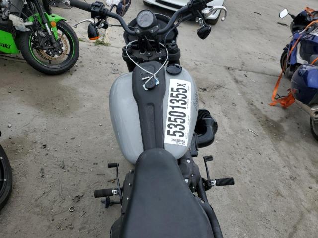  HARLEY-DAVIDSON FXLRS 2024 Серебристый
