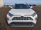 2020 Toyota Rav4 Limited en Venta en Rocky View County, AB - Normal Wear