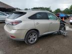 2014 Lexus Rx 350 for Sale in Greenwell Springs, LA - Front End