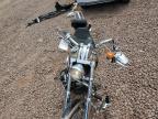 2004 HARLEY-DAVIDSON FXSTDI  for sale at Copart AZ - PHOENIX NORTH