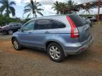 Kapolei, HI에서 판매 중인 2007 Honda Cr-V Exl - Rear End