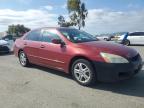 2007 Honda Accord Se for Sale in Martinez, CA - Minor Dent/Scratches