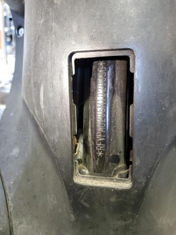 2021 GENUINE SCOOTER CO. BUDDY 125