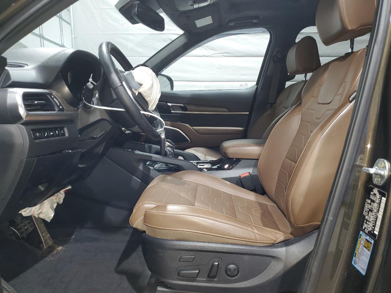 2022 Kia Telluride Sx VIN: 5XYP5DHC2NG276672 Lot: 53269885