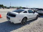2014 Ford Mustang  for Sale in Taylor, TX - Hail