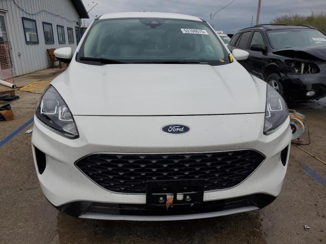  FORD ESCAPE 2020 Белы