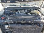2008 Ford F250 Super Duty للبيع في Brighton، CO - Front End