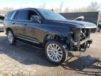 2024 Cadillac Escalade Premium Luxury للبيع في Woodhaven، MI - Stripped