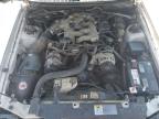 2001 Ford Mustang  for Sale in Madisonville, TN - Side