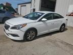 2015 Hyundai Sonata Se for Sale in Lexington, KY - All Over